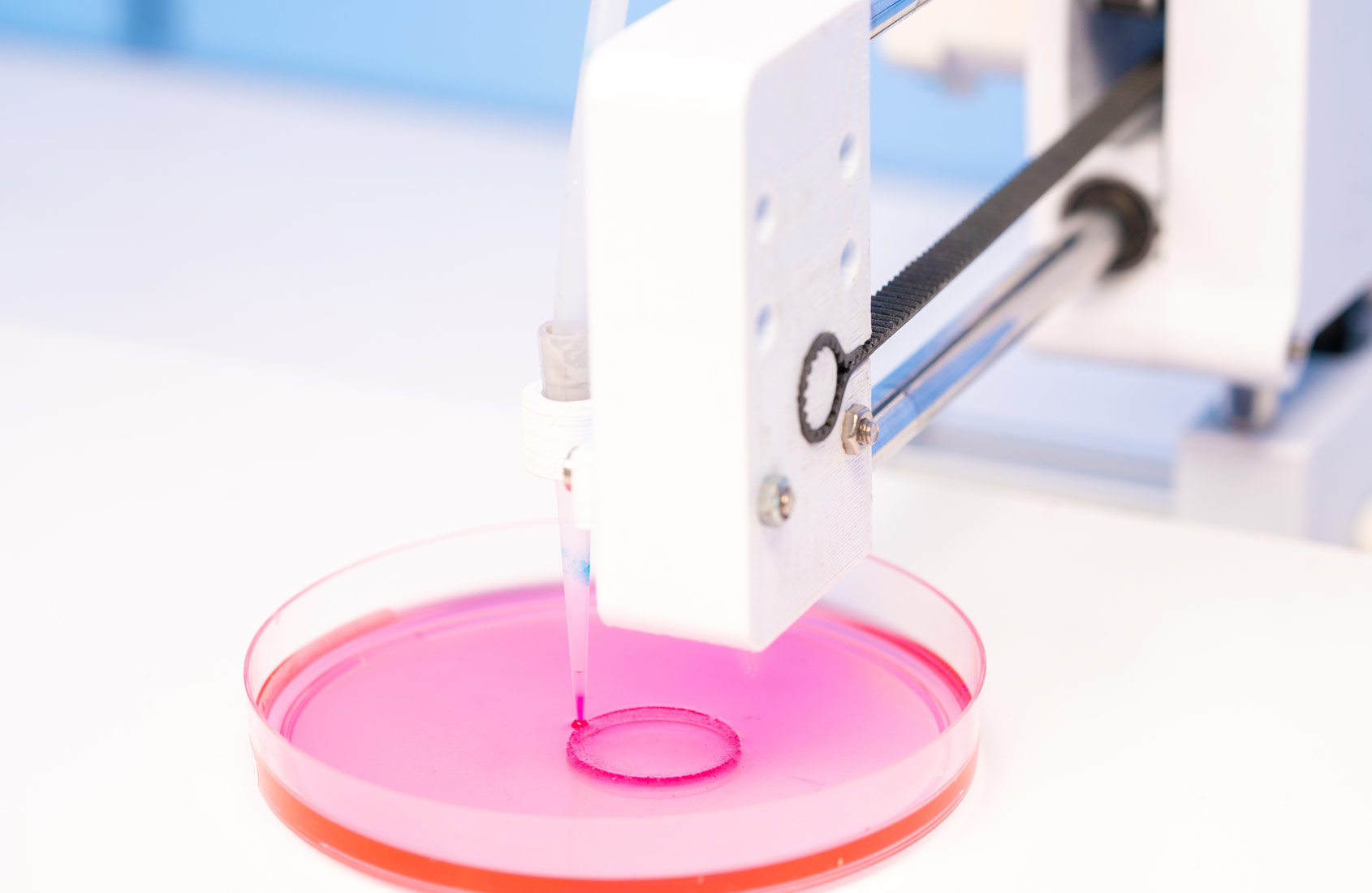 3D Bioprinting